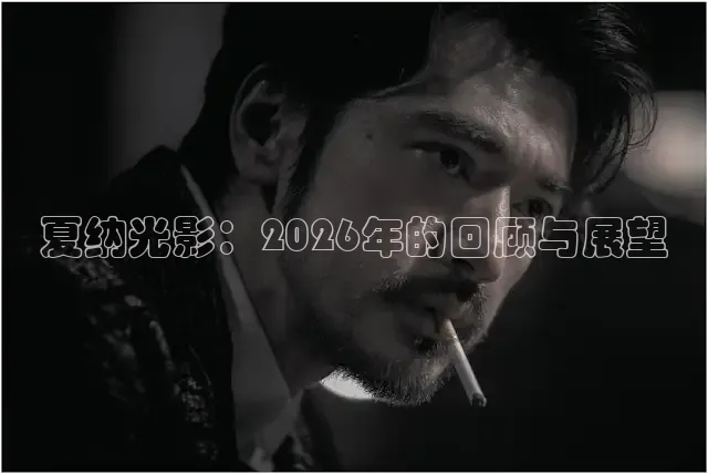 夏纳光影：2026年的回顾与展望